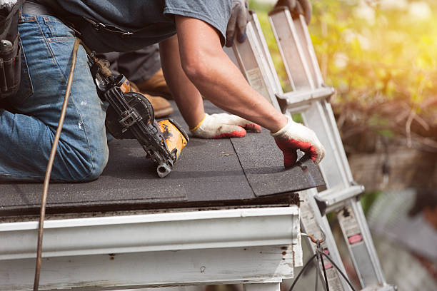 Best Gutter Installation and Roofing  in Stockton University, NJ